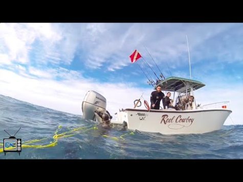 Spearfishing club shoots for more