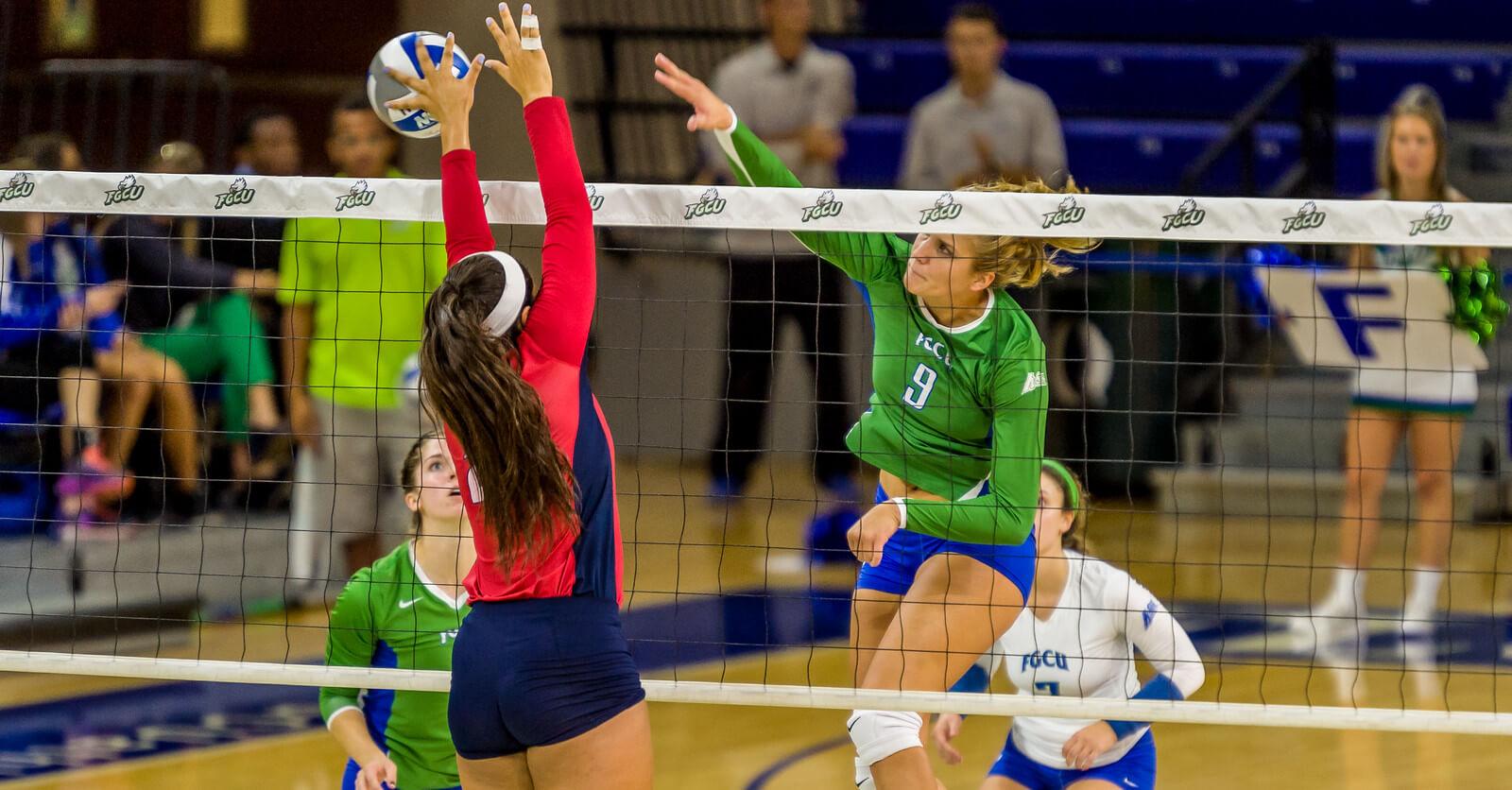 FGCU volleyball finishes 12 at Bobcat Invitational Eagle News