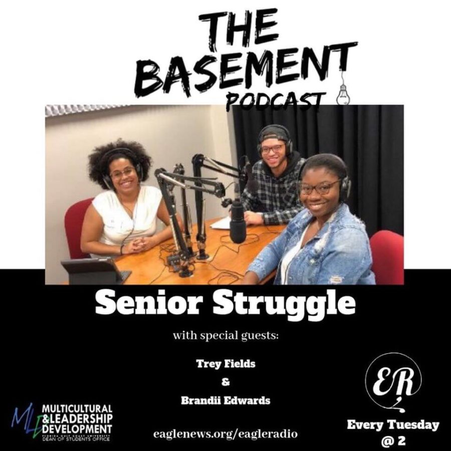The Basement Podcast: Senior Struggle