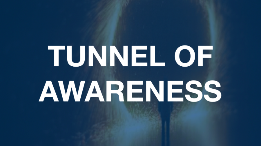 MLDs+hosts+annual+Tunnel+of+awareness