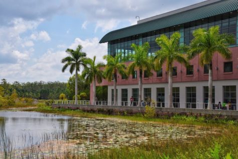 FGCU requires all students, regardless of major, to take a class focused on sustainability. EN Photo by Julia Bonavita.