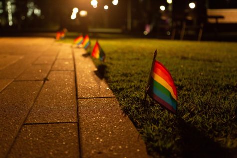 Pride flags lining the walkways through the library lawn. Pride Week at FGCU kicked off with a block party in the library lawn on November 28, 2022. 