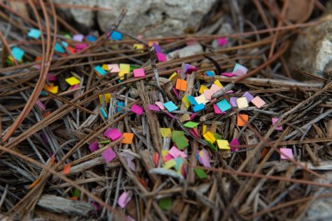 FGCU supplies eco-friendly confetti to students who want to be environmentally friendly when taking graduation pictures.