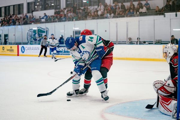 FGCU Hockey Sweeps Rival Liberty to Stay on Top of ACHA DII Southeast