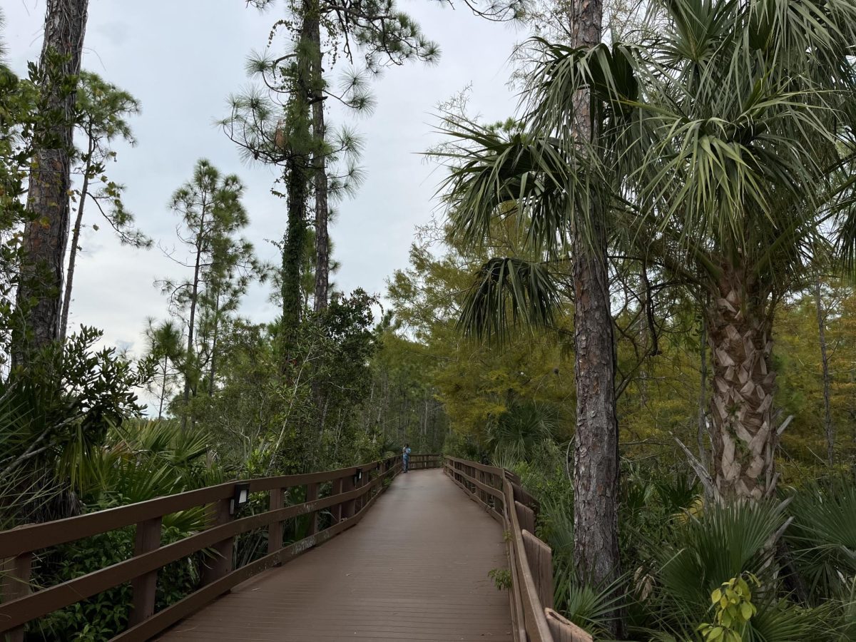 The boardwalk behind Merwin Hall that connects to parking garage 3. Photo by