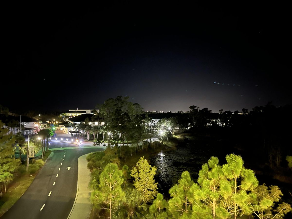 Campus glows during the night. Photo by 