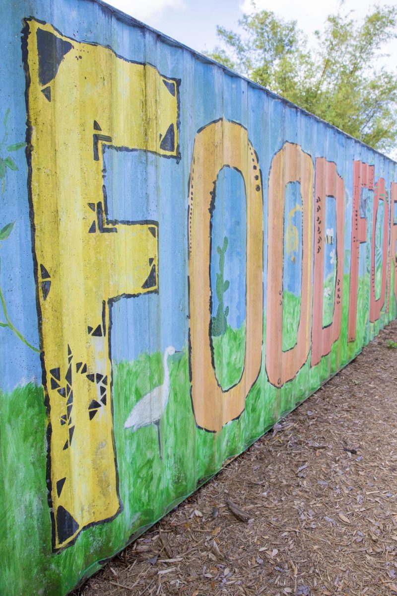 Food Forest Brings Permaculture to FGCU